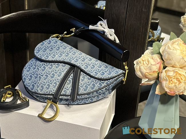 Dior Saddle Bag 25 cm - 1