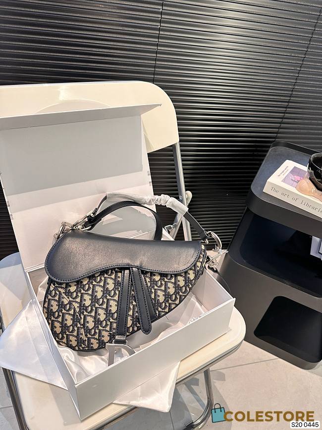 Dior Saddle 25 x 20 cm - 1