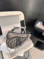 Dior Saddle 25 x 20 cm - 1