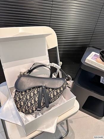 Dior Saddle 25 x 20 cm