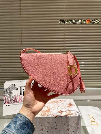 Dior Saddle Pink 20 x 15 x 4 cm