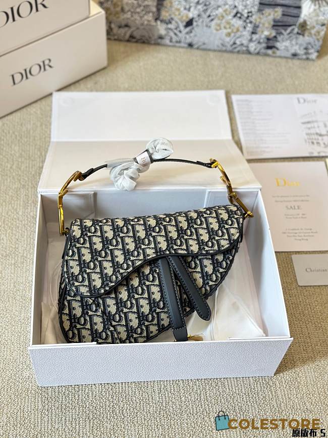 Dior Saddle Baby 20 cm - 1