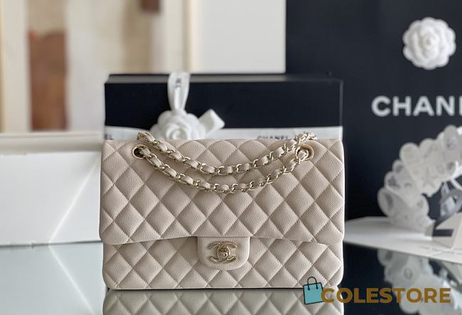 Chanel Flap Bag 15.5 x 25.5 x 6.5 cm  - 1
