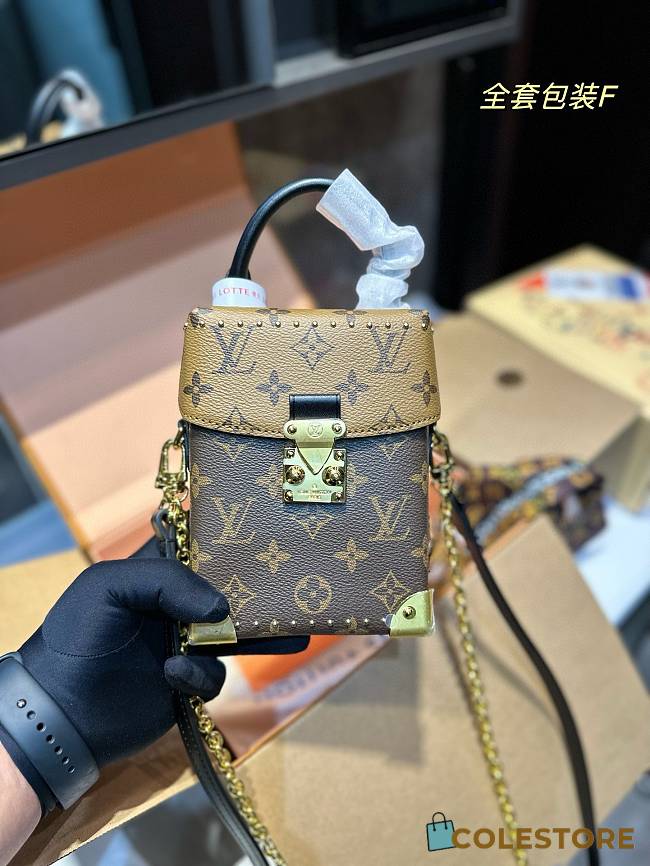 Louis Vuitton Box Shoulder Bag 17 x 13 cm  - 1