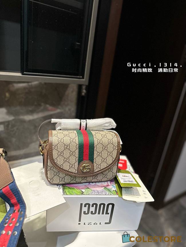 Gucci Ophidia 24 x 15 cm - 1