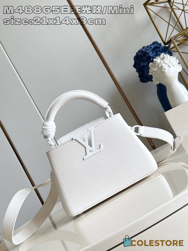 Louis Vuitton Capucines Mini 21 x 14 x 8 cm - 1