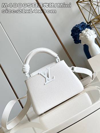 Louis Vuitton Capucines Mini 21 x 14 x 8 cm