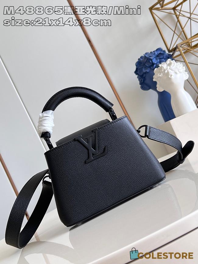 Louis Vuitton Capucines Mini Black 21 x 14 x 8 cm - 1