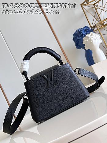 Louis Vuitton Capucines Mini Black 21 x 14 x 8 cm
