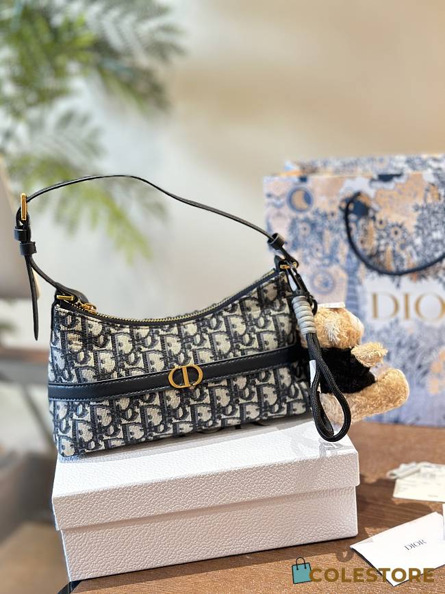 Dior Hobo CD Logo White 23 cm - 1