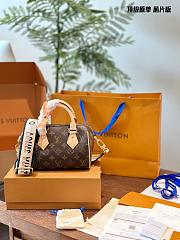 Louis Vuitton Speedy 20 Brown 20 cm - 1