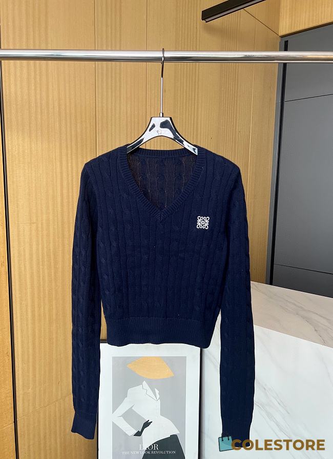 Loewe Sweater Navy - 1