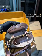 Louis Vuitton NoeNoe Brown 25 x 16 x 25 cm - 4