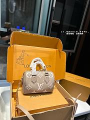 Louis Vuitton Speedy Brown 20 cm  - 1