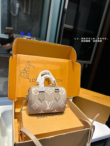 Louis Vuitton Speedy Brown 20 cm 