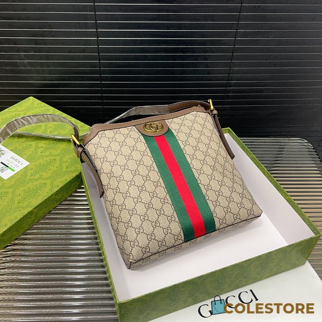 Gucci Small Ophidia Messenger Bag Brown 25 x 27 cm - 1