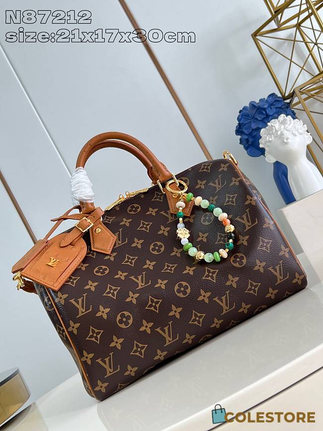 Louis Vuitton Speedy Soft 30 Hobo 21 x 17 x 30 cm - 1