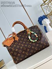 Louis Vuitton Speedy Soft 30 Hobo 21 x 17 x 30 cm - 1