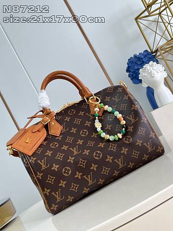 Louis Vuitton Speedy Soft 30 Hobo 21 x 17 x 30 cm