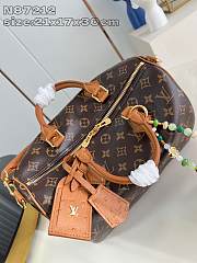 Louis Vuitton Speedy Soft 30 Hobo 21 x 17 x 30 cm - 3