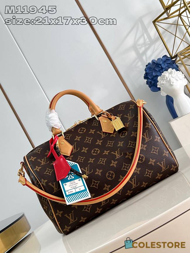 Louis Vuitton Speedy Soft 30 Crafty 21 x 17 x 30 cm - 1