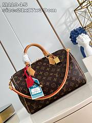 Louis Vuitton Speedy Soft 30 Crafty 21 x 17 x 30 cm - 1