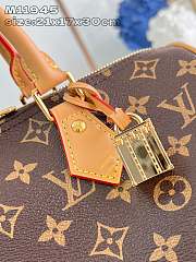 Louis Vuitton Speedy Soft 30 Crafty 21 x 17 x 30 cm - 5