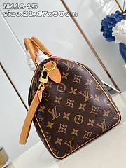 Louis Vuitton Speedy Soft 30 Crafty 21 x 17 x 30 cm - 4