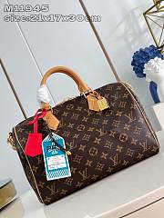 Louis Vuitton Speedy Soft 30 Crafty 21 x 17 x 30 cm - 6