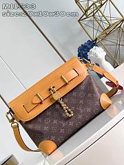 Louis Vuitton Steamer Crossbody Monogram Dust 20 x 10 x 30 cm - 1