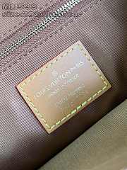Louis Vuitton Steamer Crossbody Monogram Dust 20 x 10 x 30 cm - 3
