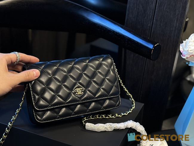 Chanel Classic WOC Black 20 cm  - 1