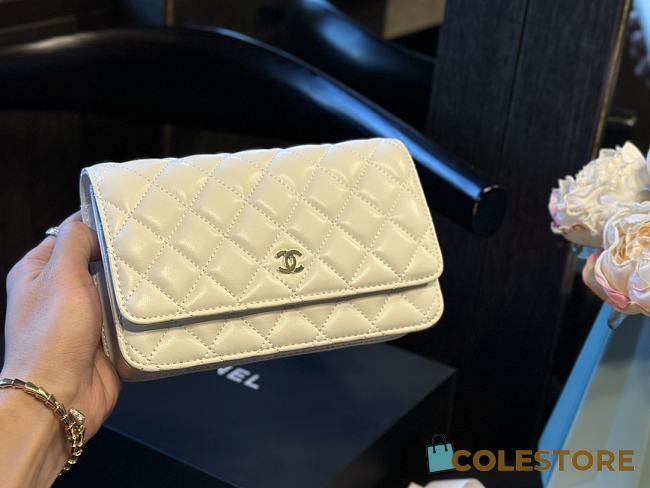 Chanel Classic WOC White 20 cm  - 1
