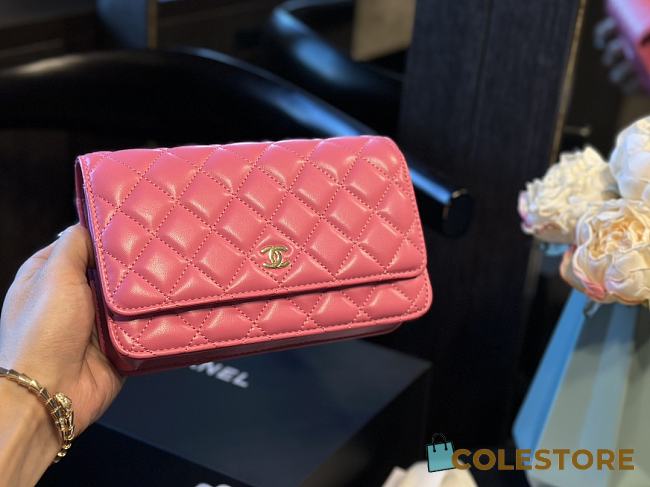 Chanel Classic WOC Pink 20 cm  - 1