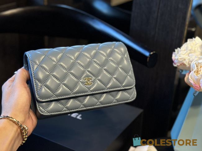 Chanel Classic WOC Blue 20 cm  - 1