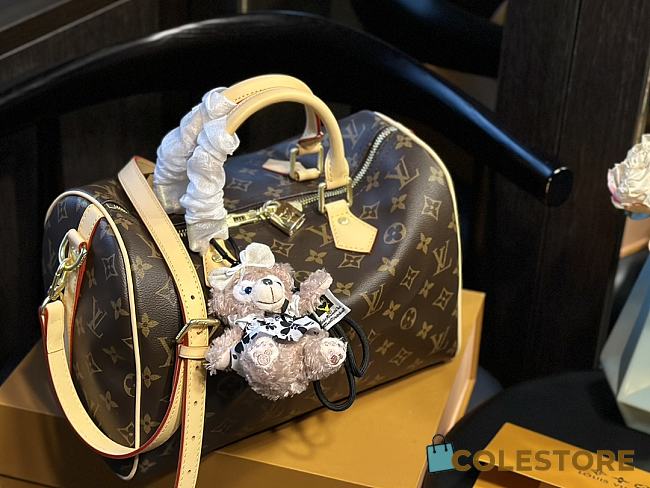 Louis Vuitton Speedy Monogram 25 cm - 1