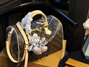 Louis Vuitton Speedy Monogram 25 cm