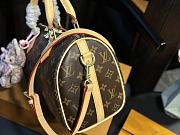 Louis Vuitton Speedy Monogram 25 cm - 4