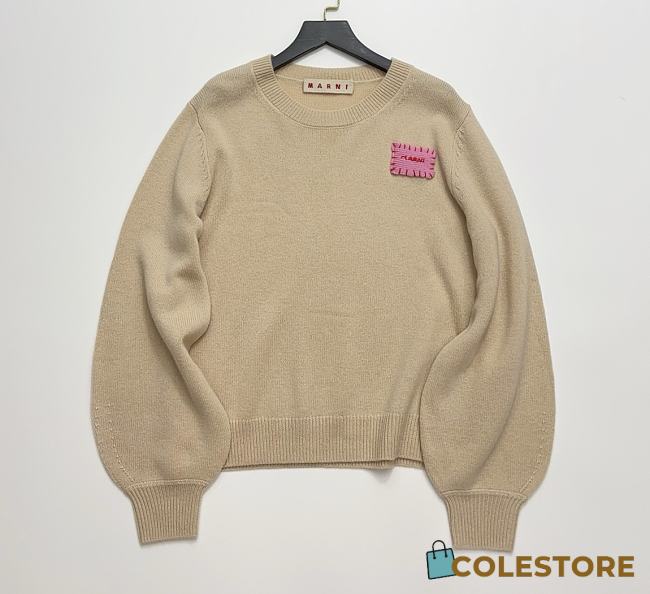 Marni sweater with the Pink patch Brown - 1