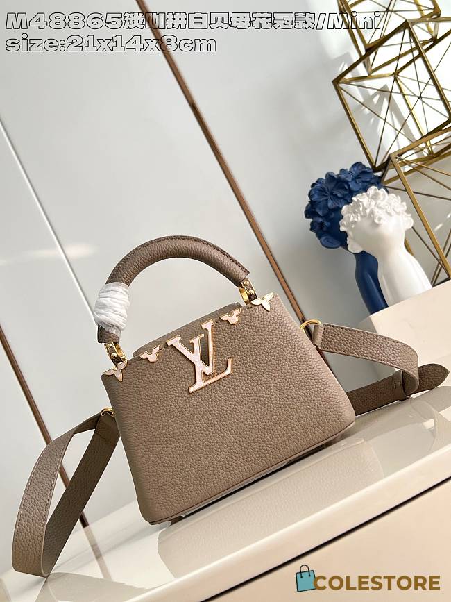 Colestore Louis Vuitton Capucines 21 x 14 x 8 cm - 1