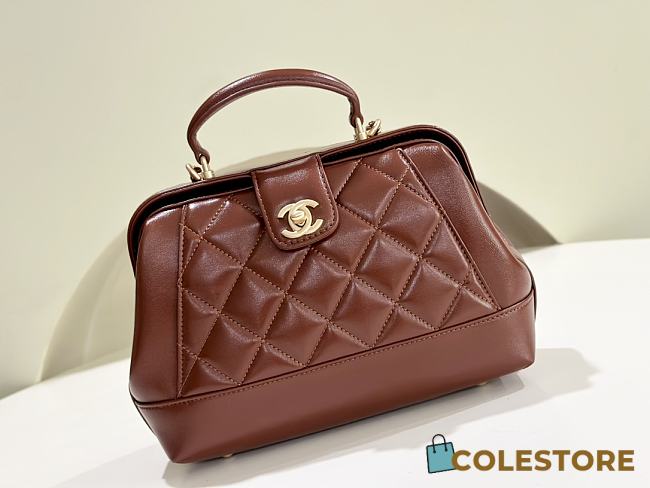 Colestore Chanel Doctor Bag Brown 16 cm - 1