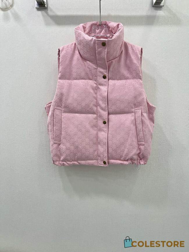 Colestore Dior Gile Jacket Pink - 1