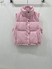Colestore Dior Gile Jacket Pink - 1