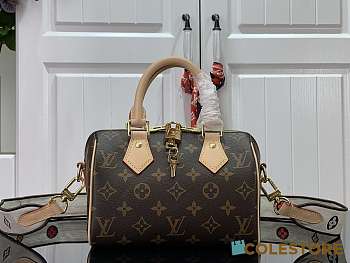 Louis Vuitton Speedy Bandoulière 20 M41112 Size 20cm