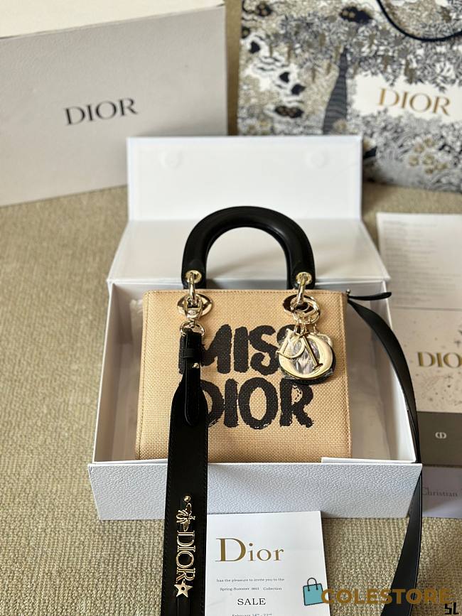 Colestore Dior Miss Dior Lady Canvas 20 x 18 cm - 1