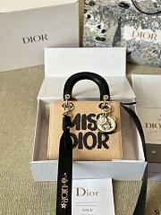 Colestore Dior Miss Dior Lady Canvas 20 x 18 cm - 1