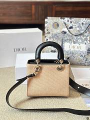 Colestore Dior Miss Dior Lady Canvas 20 x 18 cm - 6