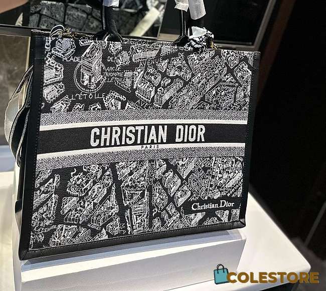 Colestore Christian Dior Book Tote 24 cm - 1
