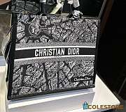 Colestore Christian Dior Book Tote 24 cm - 1