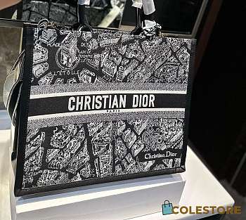 Colestore Christian Dior Book Tote 24 cm